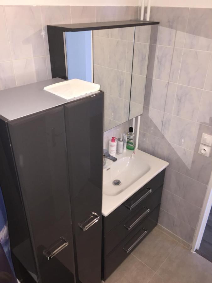 Grand Appartement A Louer Vue Sur Seine Melun Esterno foto
